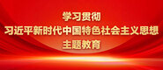 女人日逼大全40分钟学习贯彻习近平新时代中国特色社会主义思想主题教育_fororder_ad-371X160(2)